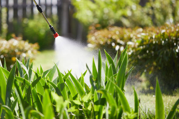 24/7 Emergency Cockroach Control experts in Midway North, TX